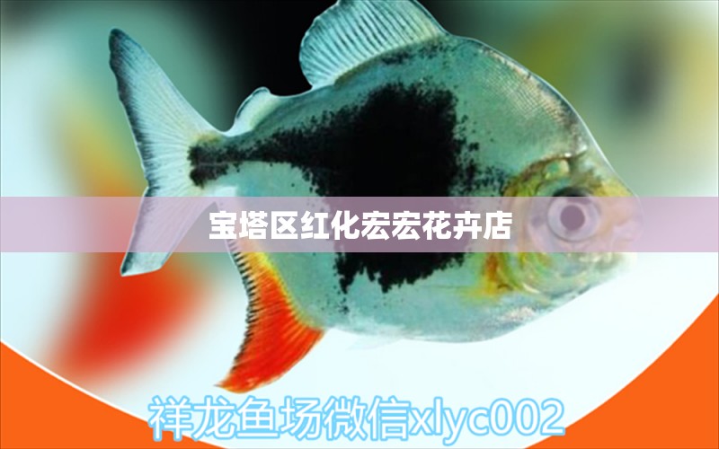 寶塔區(qū)紅化宏宏花卉店 全國水族館企業(yè)名錄