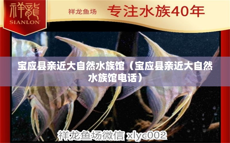 寶應(yīng)縣親近大自然水族館（寶應(yīng)縣親近大自然水族館電話）