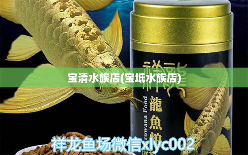 寶清水族店(寶坻水族店) 過背金龍魚 第1張