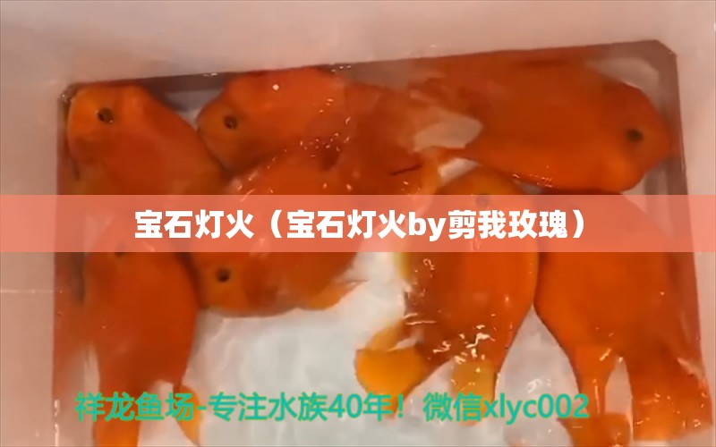 寶石燈火（寶石燈火by剪我玫瑰）