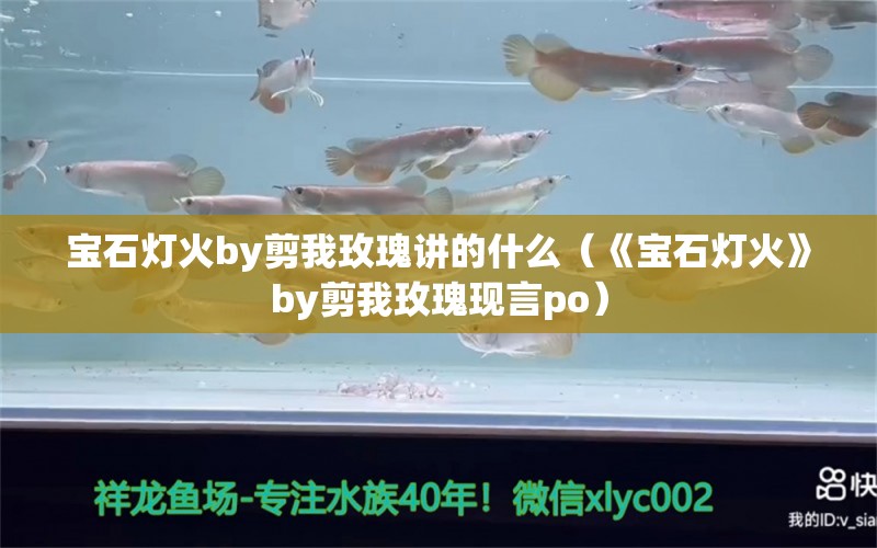 寶石燈火by剪我玫瑰講的什么（《寶石燈火》by剪我玫瑰現(xiàn)言po）