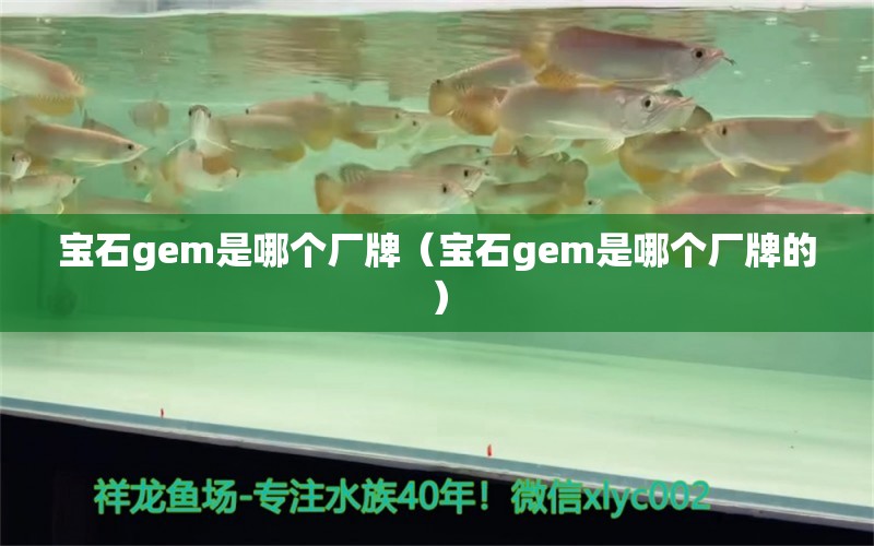 寶石gem是哪個(gè)廠牌（寶石gem是哪個(gè)廠牌的）