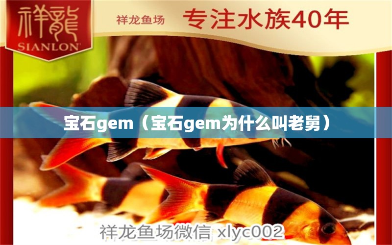 寶石gem（寶石gem為什么叫老舅） 文玩