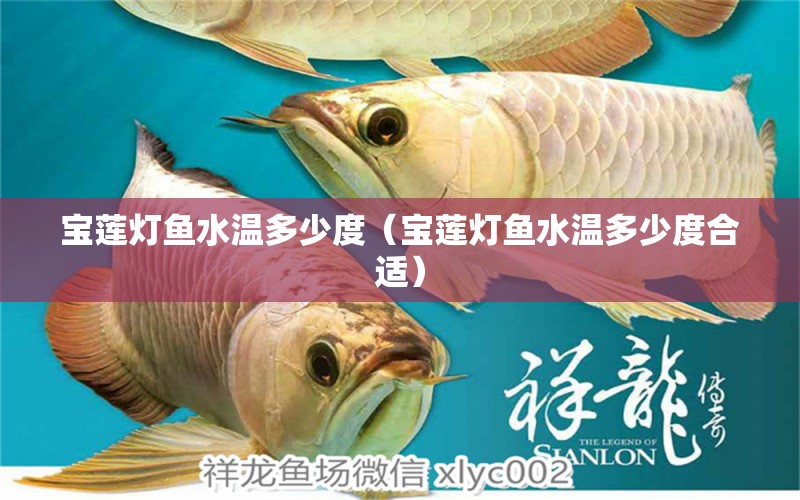 寶蓮燈魚水溫多少度（寶蓮燈魚水溫多少度合適）