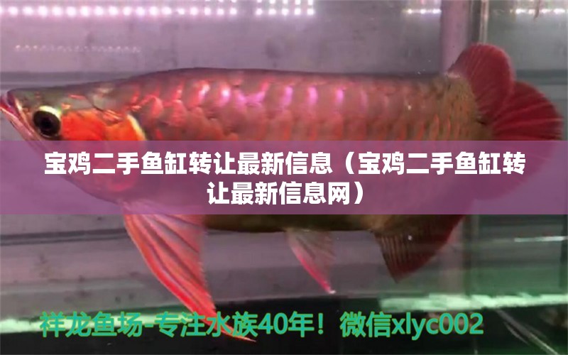 寶雞二手魚缸轉讓最新信息（寶雞二手魚缸轉讓最新信息網(wǎng)） 祥龍水族醫(yī)院