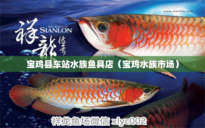 寶雞縣車站水族魚(yú)具店（寶雞水族市場(chǎng)）