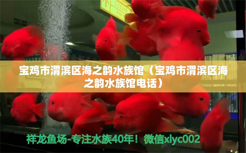 寶雞市渭濱區(qū)海之韻水族館（寶雞市渭濱區(qū)海之韻水族館電話）