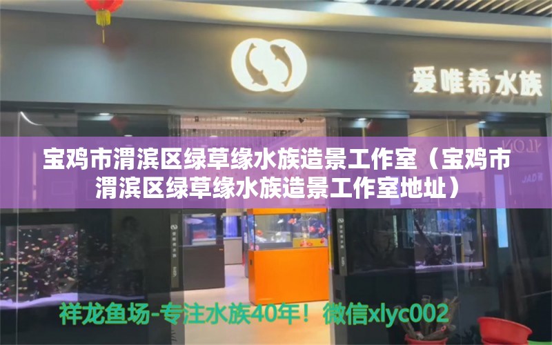 寶雞市渭濱區(qū)綠草緣水族造景工作室（寶雞市渭濱區(qū)綠草緣水族造景工作室地址）