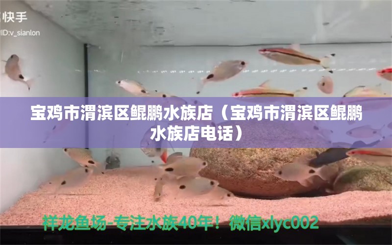 寶雞市渭濱區(qū)鯤鵬水族店（寶雞市渭濱區(qū)鯤鵬水族店電話）