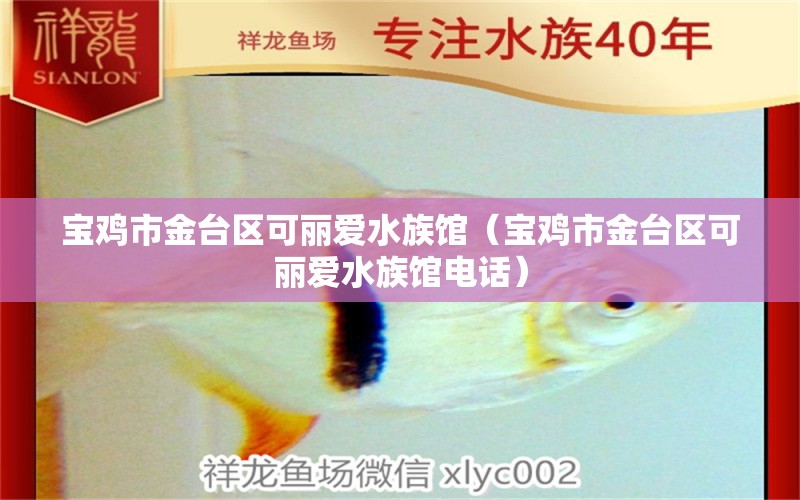 寶雞市金臺區(qū)可麗愛水族館（寶雞市金臺區(qū)可麗愛水族館電話）