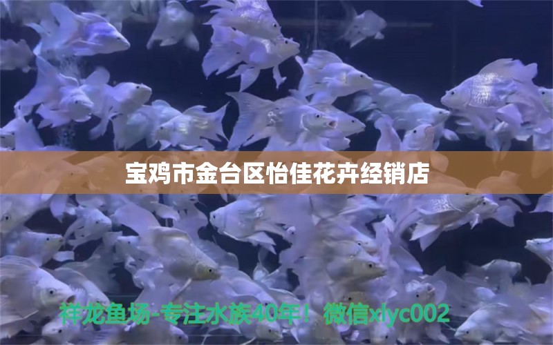 寶雞市金臺區(qū)怡佳花卉經(jīng)銷店 全國水族館企業(yè)名錄