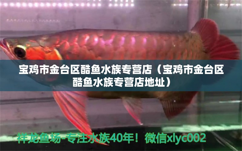 寶雞市金臺(tái)區(qū)酷魚(yú)水族專營(yíng)店（寶雞市金臺(tái)區(qū)酷魚(yú)水族專營(yíng)店地址）