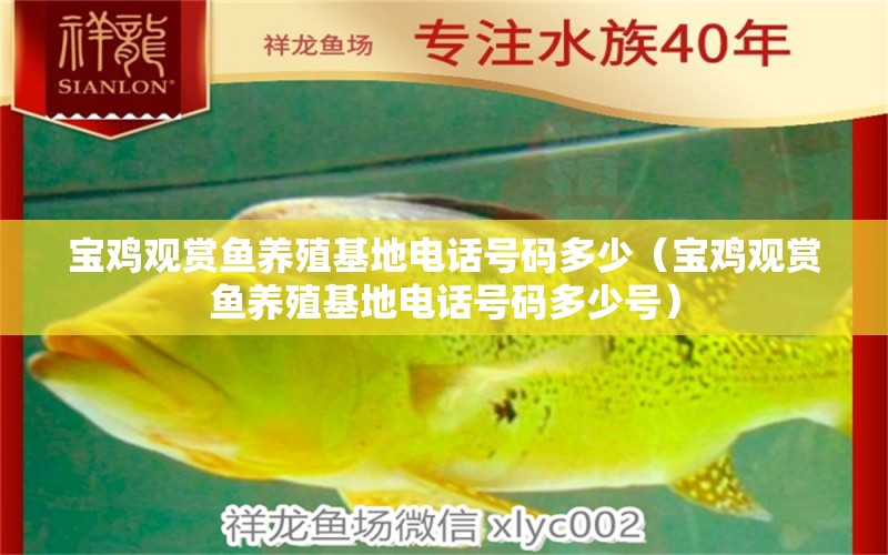 寶雞觀賞魚養(yǎng)殖基地電話號碼多少（寶雞觀賞魚養(yǎng)殖基地電話號碼多少號）