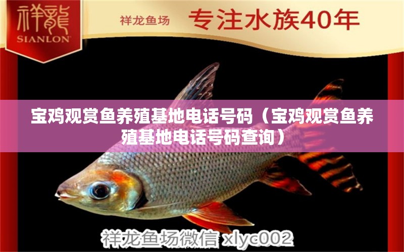 寶雞觀賞魚養(yǎng)殖基地電話號碼（寶雞觀賞魚養(yǎng)殖基地電話號碼查詢）