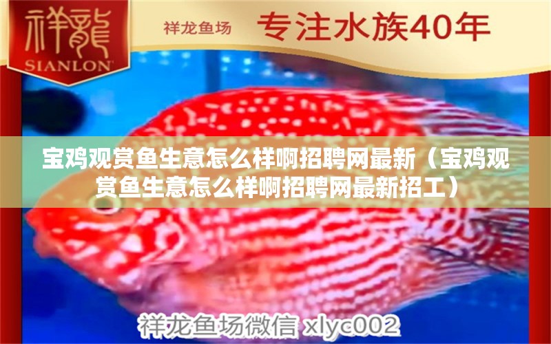 寶雞觀賞魚生意怎么樣啊招聘網(wǎng)最新（寶雞觀賞魚生意怎么樣啊招聘網(wǎng)最新招工）