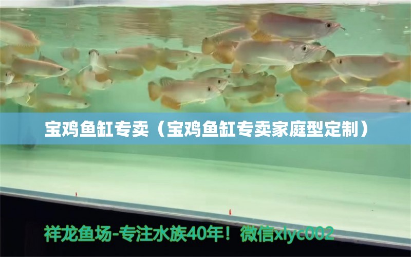 寶雞魚缸專賣（寶雞魚缸專賣家庭型定制）