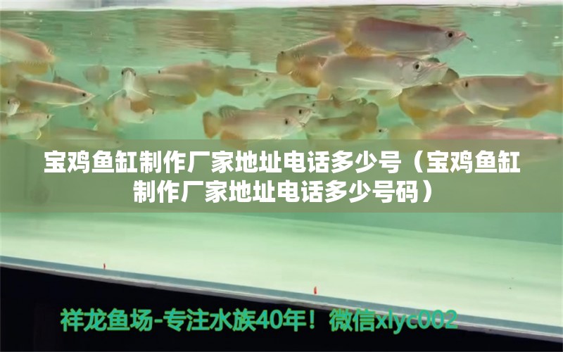 寶雞魚缸制作廠家地址電話多少號(hào)（寶雞魚缸制作廠家地址電話多少號(hào)碼）