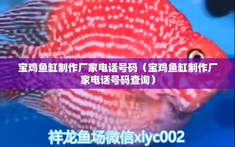 寶雞魚缸制作廠家電話號碼（寶雞魚缸制作廠家電話號碼查詢）