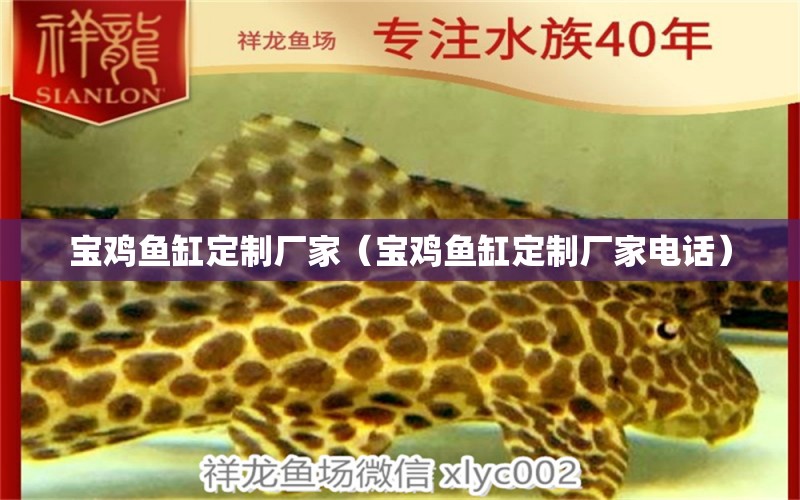 寶雞魚(yú)缸定制廠家（寶雞魚(yú)缸定制廠家電話） 其他品牌魚(yú)缸