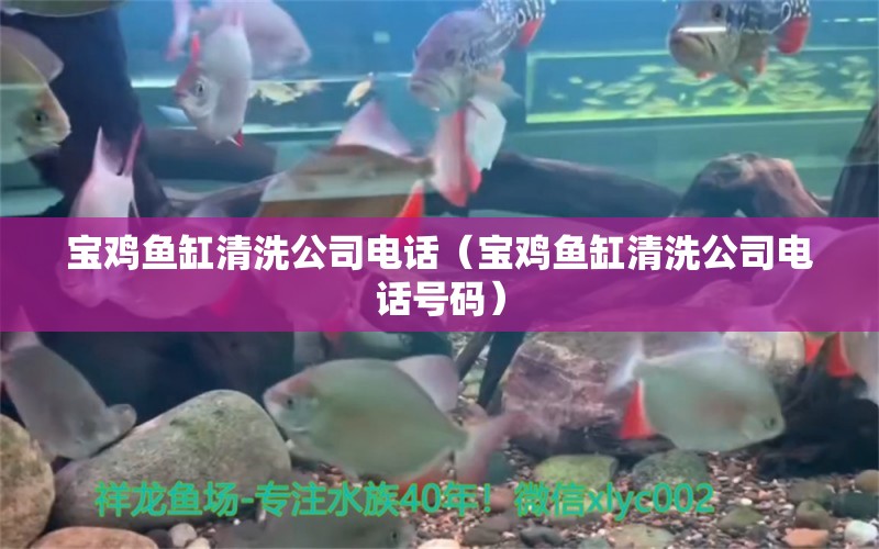 寶雞魚缸清洗公司電話（寶雞魚缸清洗公司電話號碼） 其他品牌魚缸