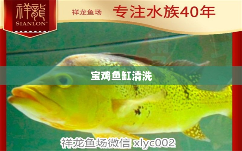 寶雞魚(yú)缸清洗