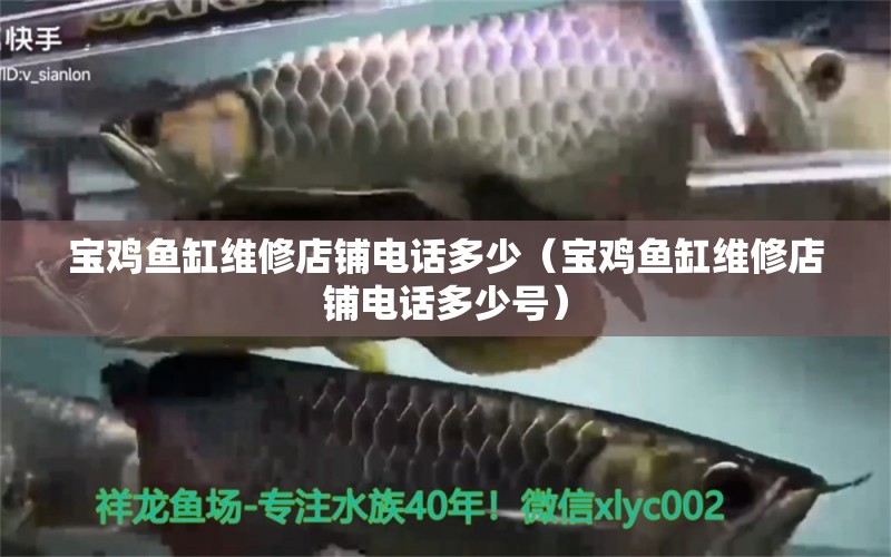 寶雞魚缸維修店鋪電話多少（寶雞魚缸維修店鋪電話多少號）