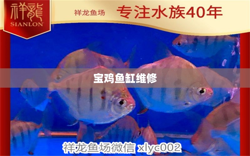 寶雞魚缸維修