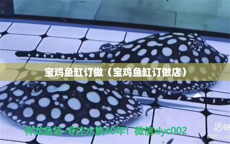 寶雞魚缸訂做（寶雞魚缸訂做店）