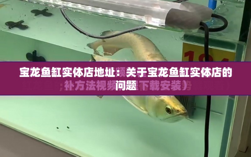 寶龍魚缸實體店地址：關于寶龍魚缸實體店的問題 水族問答 第1張