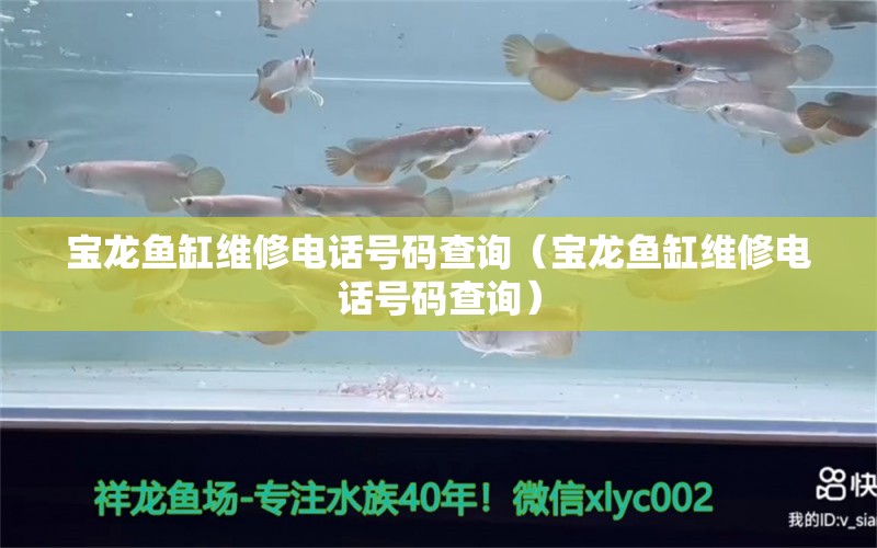 寶龍魚缸維修電話號碼查詢（寶龍魚缸維修電話號碼查詢）