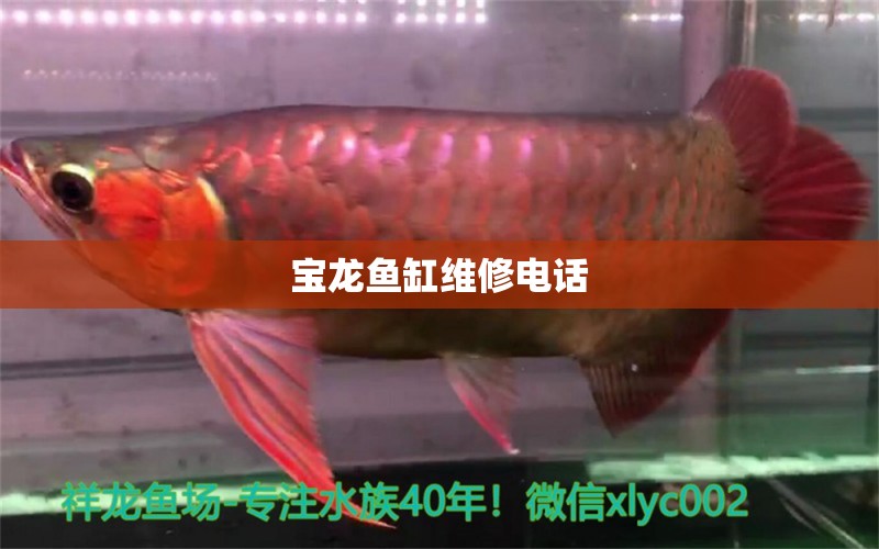 寶龍魚缸維修電話