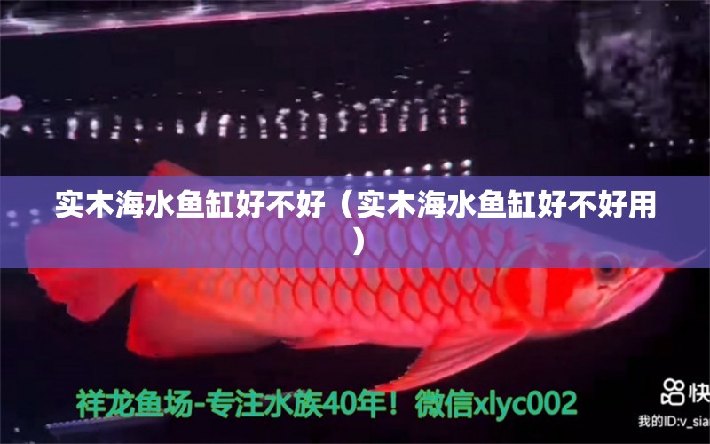 實木海水魚缸好不好（實木海水魚缸好不好用）