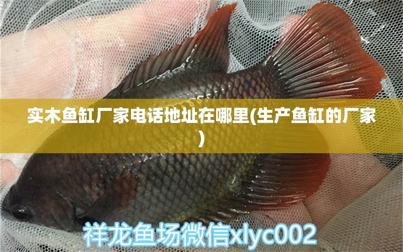 實(shí)木魚缸廠家電話地址在哪里(生產(chǎn)魚缸的廠家) 黑云魚