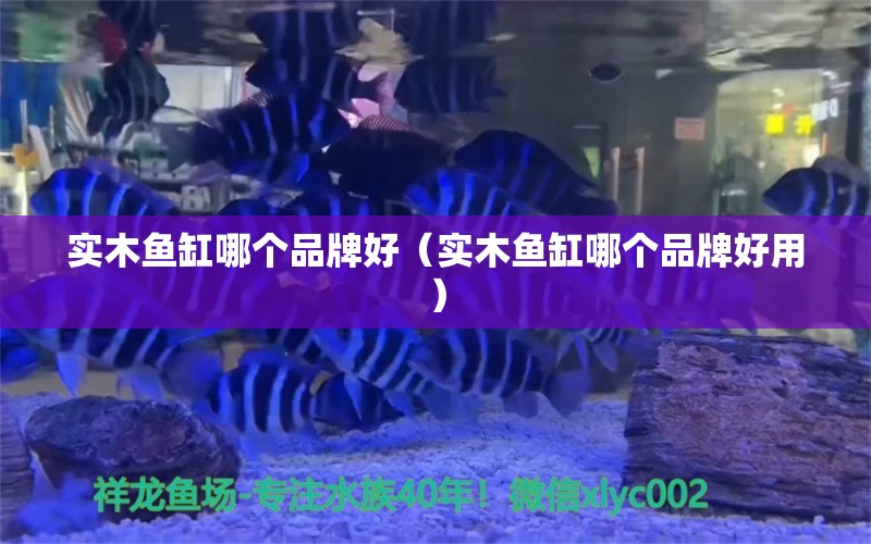 實(shí)木魚缸哪個品牌好（實(shí)木魚缸哪個品牌好用）