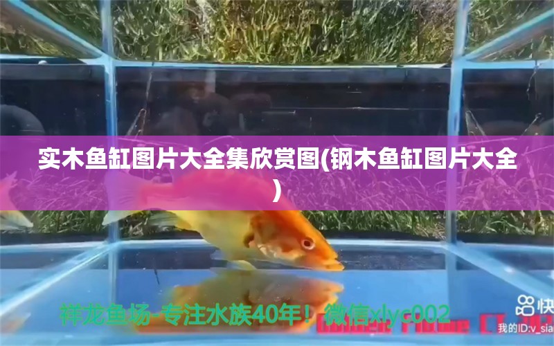 實木魚缸圖片大全集欣賞圖(鋼木魚缸圖片大全) 潛水艇魚