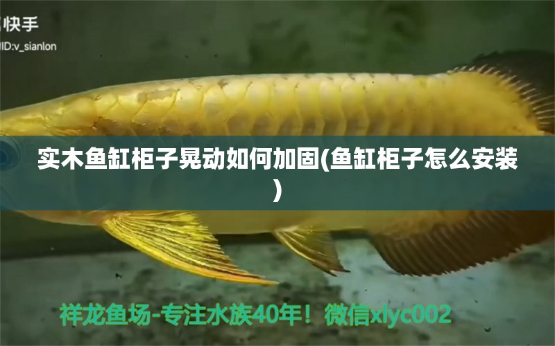 實木魚缸柜子晃動如何加固(魚缸柜子怎么安裝) BD魟魚 第1張