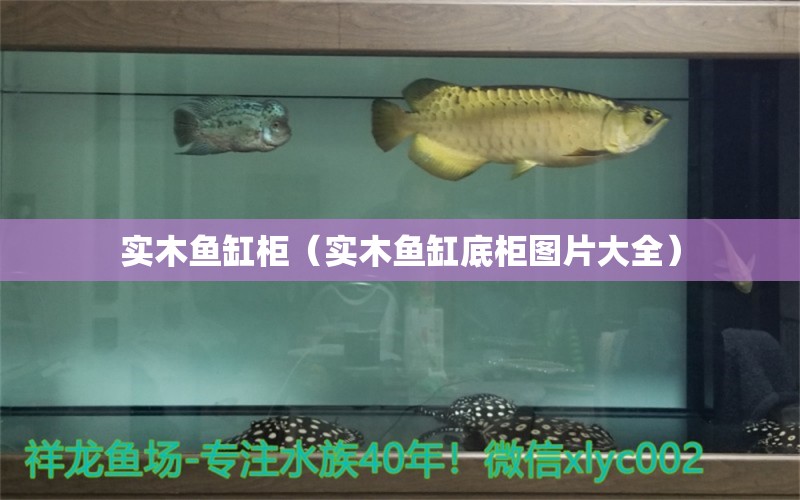 實(shí)木魚缸柜（實(shí)木魚缸底柜圖片大全） 赤焰中國虎魚