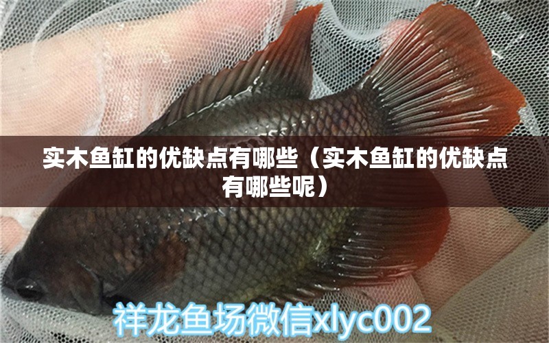 實(shí)木魚(yú)缸的優(yōu)缺點(diǎn)有哪些（實(shí)木魚(yú)缸的優(yōu)缺點(diǎn)有哪些呢）