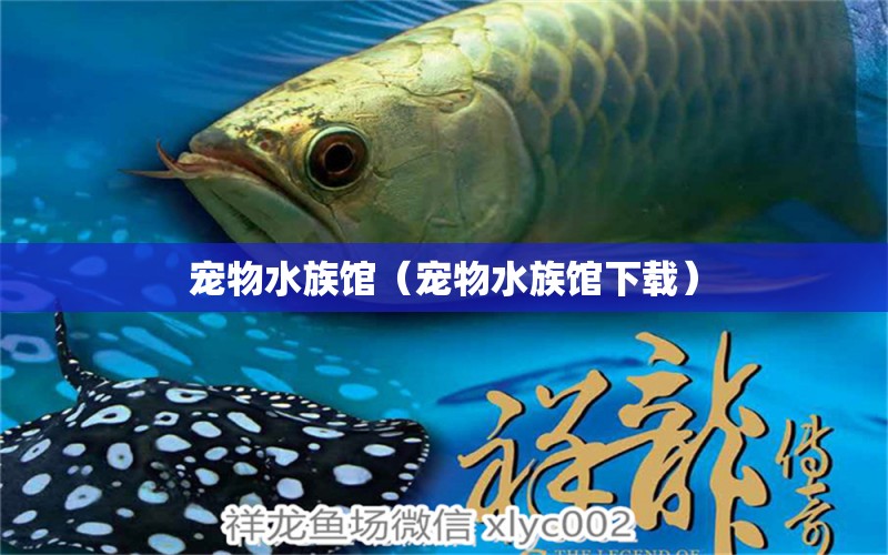 寵物水族館（寵物水族館下載） 廣州水族批發(fā)市場(chǎng)