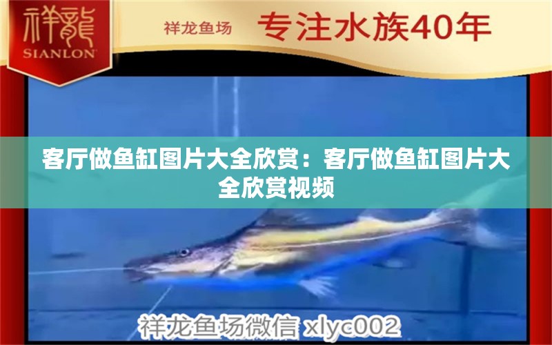 客廳做魚缸圖片大全欣賞：客廳做魚缸圖片大全欣賞視頻