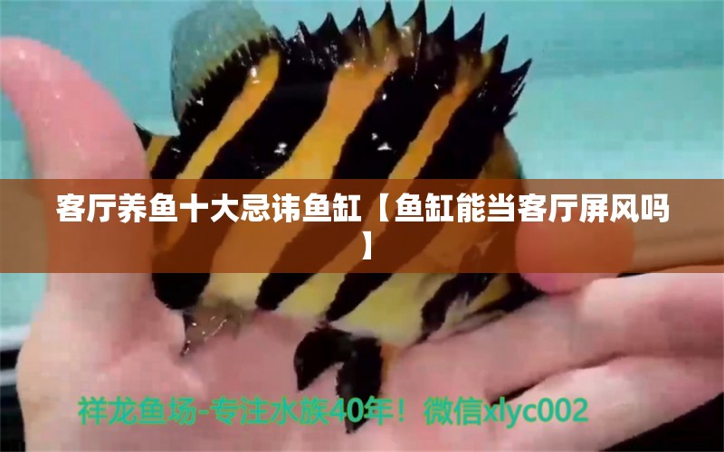 客廳養(yǎng)魚十大忌諱魚缸【魚缸能當(dāng)客廳屏風(fēng)嗎】 龍魚批發(fā)