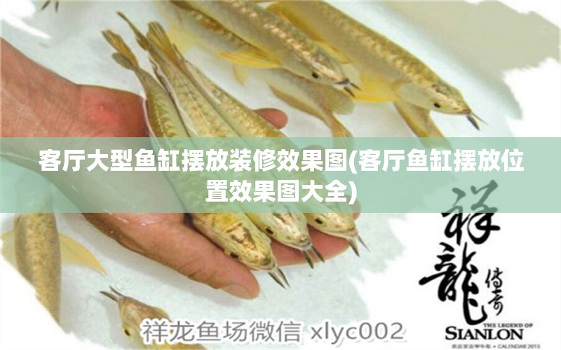 客廳大型魚缸擺放裝修效果圖(客廳魚缸擺放位置效果圖大全) 其它水族用具設(shè)備