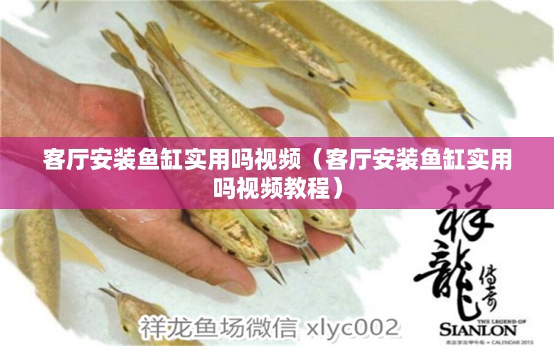 客廳安裝魚缸實(shí)用嗎視頻（客廳安裝魚缸實(shí)用嗎視頻教程） 二氧化碳設(shè)備