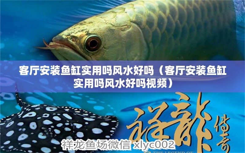 客廳安裝魚缸實(shí)用嗎風(fēng)水好嗎（客廳安裝魚缸實(shí)用嗎風(fēng)水好嗎視頻） 魚缸風(fēng)水