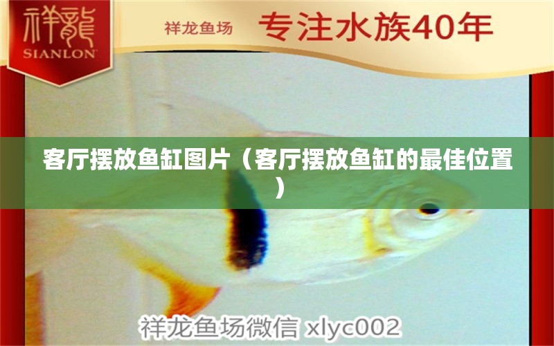 客廳擺放魚缸圖片（客廳擺放魚缸的最佳位置）