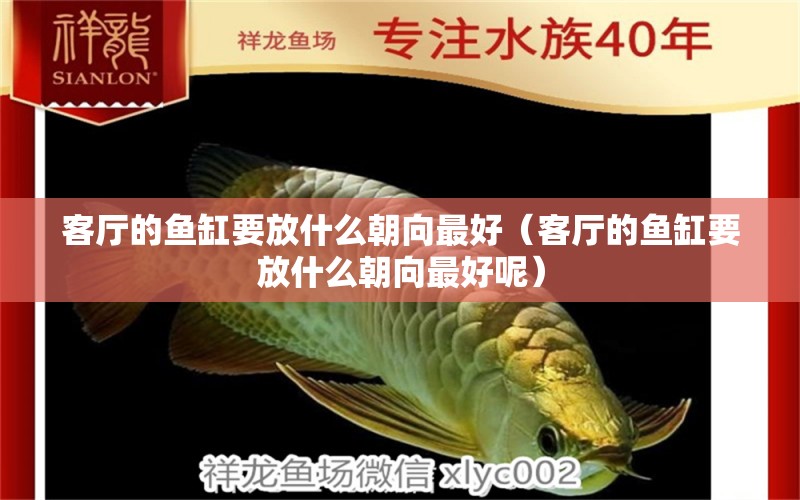 客廳的魚缸要放什么朝向最好（客廳的魚缸要放什么朝向最好呢） 廣州觀賞魚魚苗批發(fā)市場(chǎng)