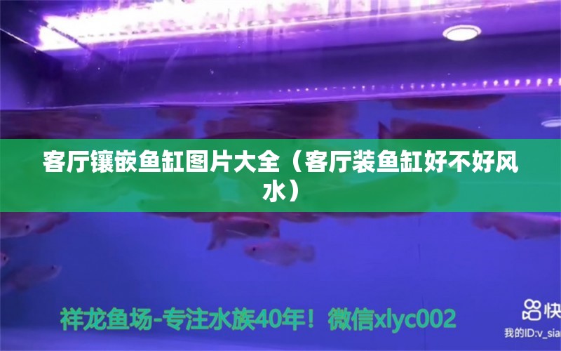 客廳鑲嵌魚缸圖片大全（客廳裝魚缸好不好風(fēng)水） 水族用品