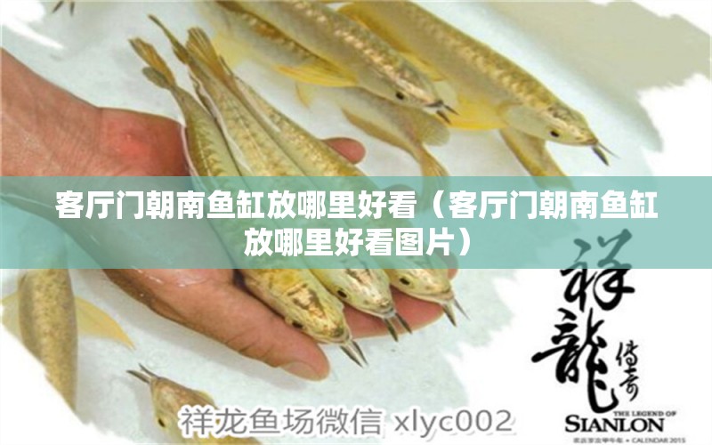 客廳門朝南魚缸放哪里好看（客廳門朝南魚缸放哪里好看圖片）