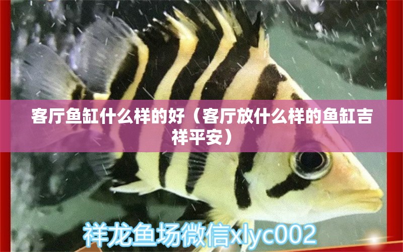 客廳魚缸什么樣的好（客廳放什么樣的魚缸吉祥平安）