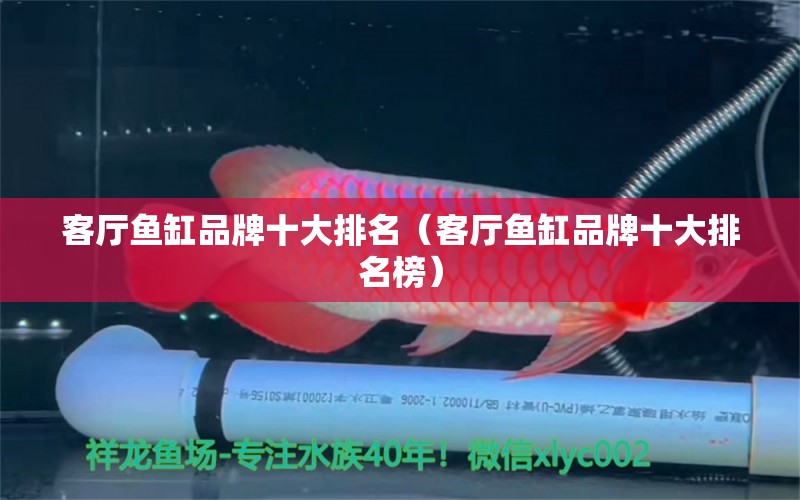 客廳魚缸品牌十大排名（客廳魚缸品牌十大排名榜） 黃寬帶蝴蝶魚